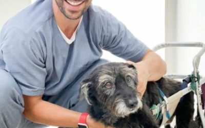 Carrinho Ortopédico para cães: Felicidade nas coisas mais simples da vida