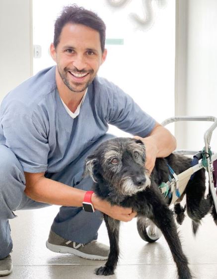 Carrinho Ortopédico para cães: Felicidade nas coisas mais simples da vida