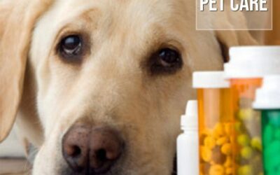 Quais medicamentos são proibidos para os cães?