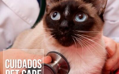 Leucemia em cães e gatos