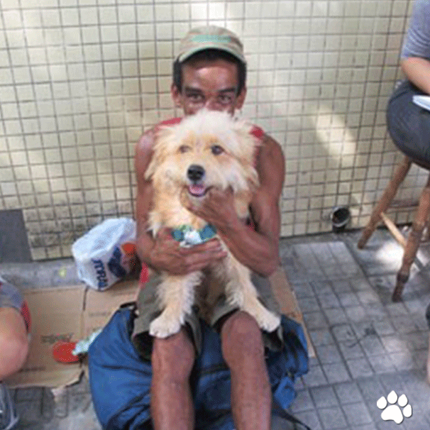 Morador de rua recusa proposta de R$ 2 mil por cão: “Não vendo por nada”