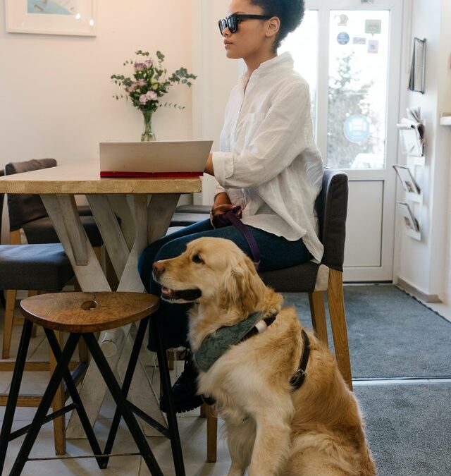Cão-guia auxilia seu dono e seu colega canino cego