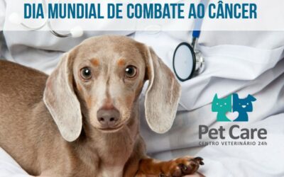 Melanoma em cães e gatos