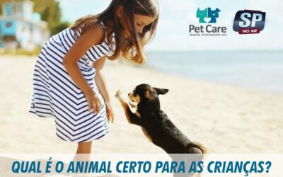 Pet Care no SP no Ar: Qual é o animal certo para as crianças?