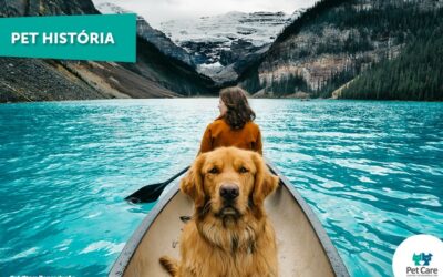 Cachorro que viaja para lugares paradisíacos tem as fotos mais lindas do Instagram