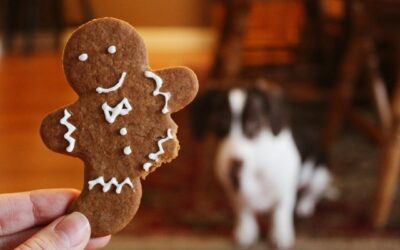 Cookies de Natal para Cães