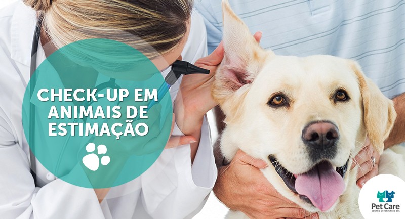 Check-up em animais de estimação