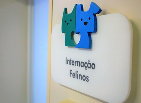 internacao-felinos-pacaembu internacao-felinos-pacaembu