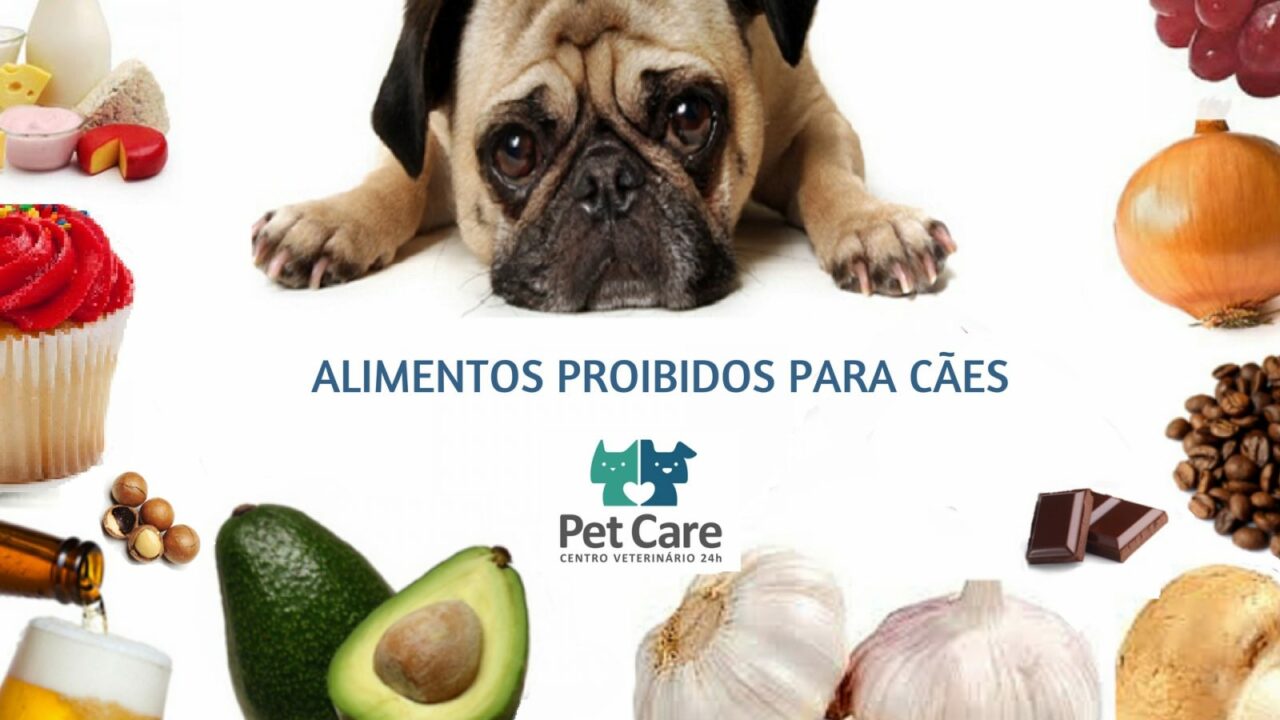 ALIMENTOS PROIBIDOS PARA CACHORROS | Pet Care Hospital Veterinário