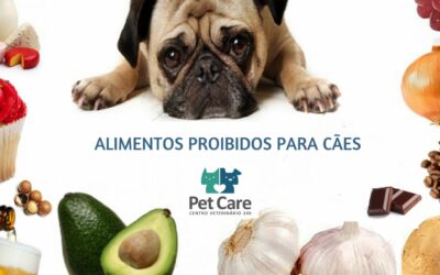 ALIMENTOS PROIBIDOS PARA CACHORROS