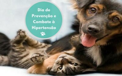 Dia de Prevenção e Combate à Hipertensão: Cães e Gatos