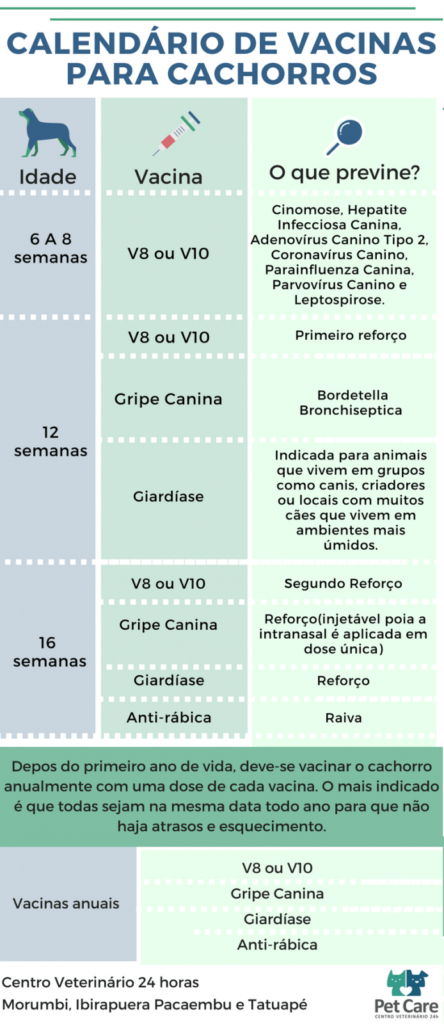 Quais vacinas meu cachorro deve tomar? - PetCare
