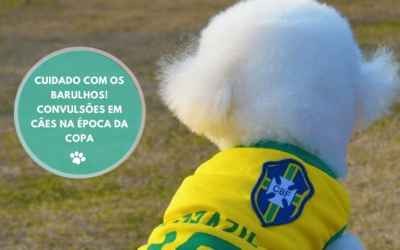 CUIDADO COM OS BARULHOS! CONVULSÕES EM CÃES NA ÉPOCA DA COPA