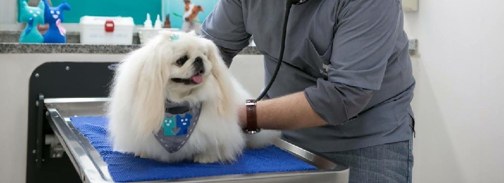 Cardiologia cardiologia pet - Cardiologia