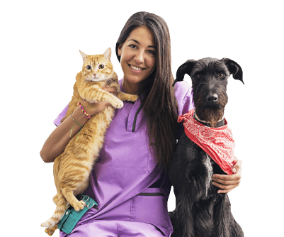 Para Veterinários para veterinarios2 - Para Veterinários
