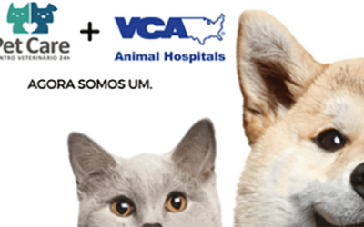 PET CARE + VCA: A maior rede americana de hospitais veterinários chega ao Brasil!