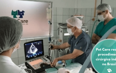 Pet Care realiza a segunda valvoplastia aórtica por cateter balão no Brasil