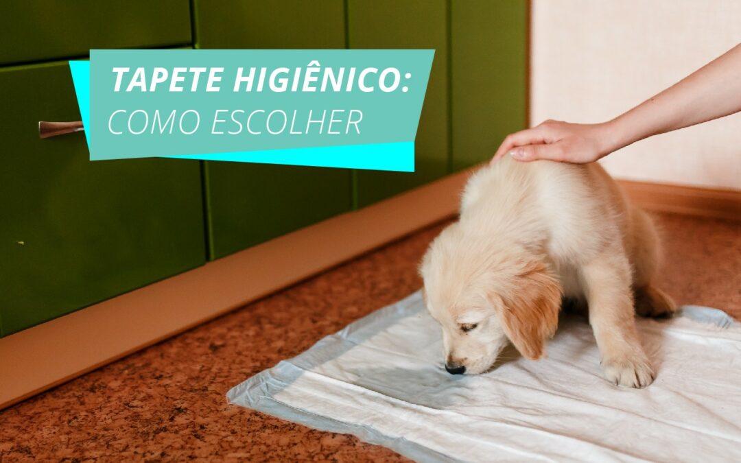 Como escolher o melhor tapete higiênico para seu cão