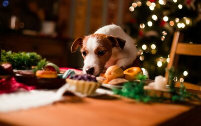 Cuidado com as comidas da ceia das festas de fim de ano