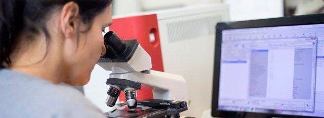 Bioquímica examelaboratorial petcare - Bioquímica