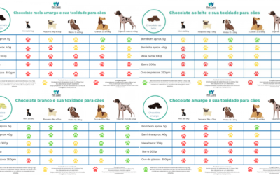 Tabela de toxidade de chocolate para cachorro