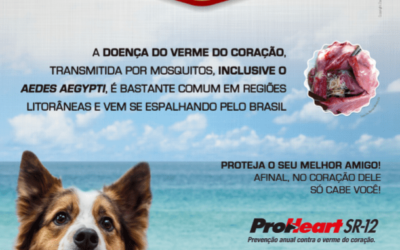 PROTEÇÃO CONTRA A DIROFILARIOSE – 15 E 16 DE JUNHO