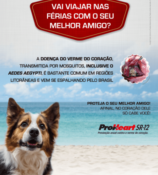 PROTEÇÃO CONTRA A DIROFILARIOSE – 15 E 16 DE JUNHO