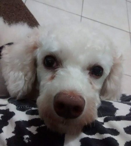 Jimmy img 20190823 wa0054 450x500 - Jimmy