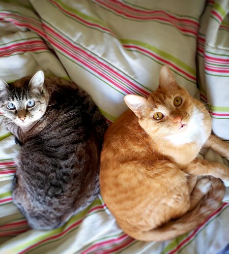 Amy e Jeri img 20190823 141945 908 450x500 - Amy e Jeri