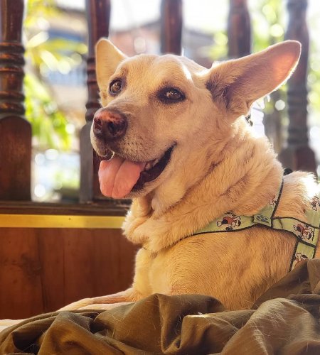 Scooby screenshot 20190822 125708 instagram 450x500 - Scooby