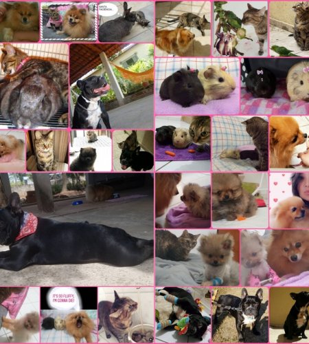 Miyuki, Mônica, Suki, Harry, Evee... site 450x500 - Miyuki, Mônica, Suki, Harry, Evee...