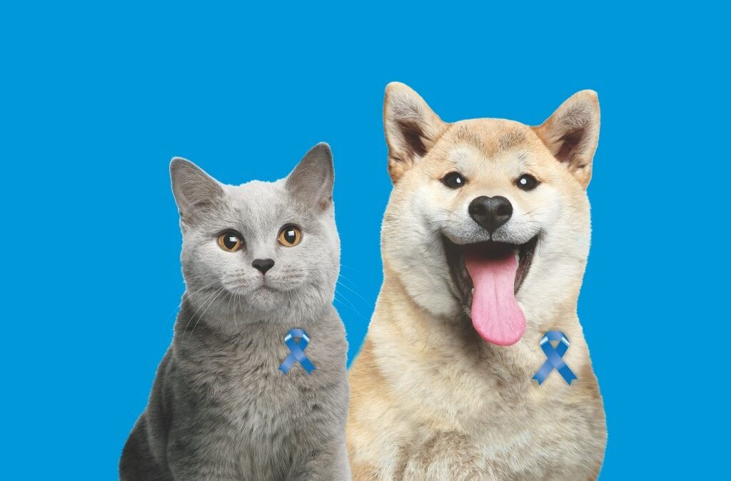 Novembro Azul Pet Care