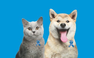 Novembro Azul Pet Care