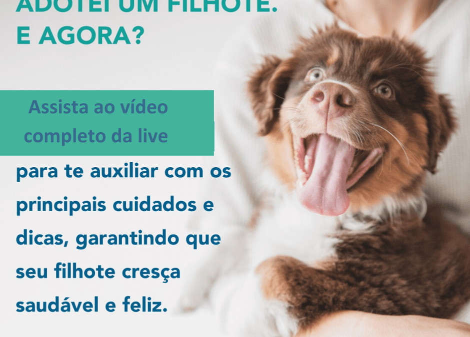 Adotei um filhote. E agora? Assista o vídeo da live.