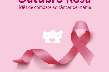 Outubro Rosa: fique atento ao câncer de mama em cadelas e gatas