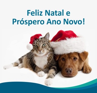 Festas de Natal e Ano Novo? Dicas e Cuidados com o seu Pet