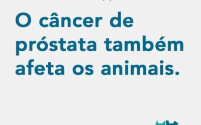 A Campanha #NovembroAzul chega para a conscientizar a respeito da prevenção contra o câncer de próstata e para prevenir o aumento prostático. ⠀