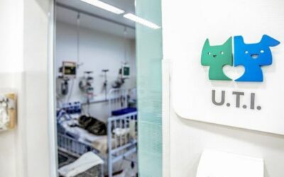 A UTI do Pet Care está localizada na nossa unidade do Ibirapuera.