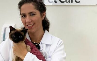 Pet Care é hospital Cat Friendly