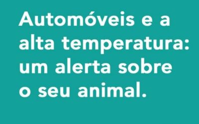 Esse alerta é muito importante! Os animais não transpiram como os humanos.