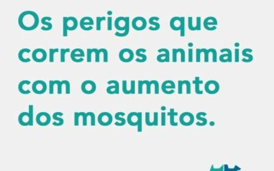 Precisamos nos proteger e proteger nossos animais contra os mosquitos