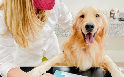 Comunicado: Protocolos de Segurança e Higiene Pet Care