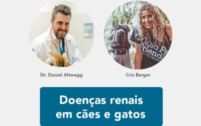 Live: Março Amarelo – doenças renais em cães e gatos