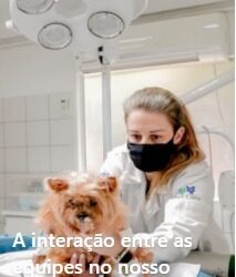 A interação entre as equipes no nosso trabalho