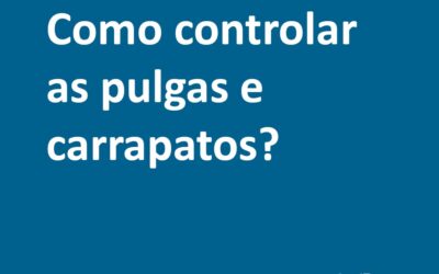 Controle de pulgas e carrapatos em animais adultos e idosos.