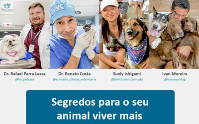 Live: Segredos para seu pet viver mais