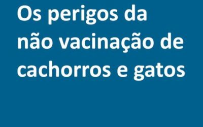 Os perigos de não se vacinar cães e gatos