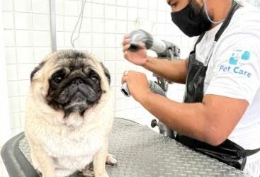 Você sabia que o Pet Care Morumbi tem serviço de banho e tosa?