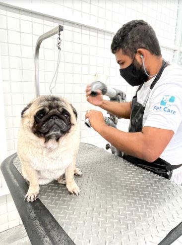 Você sabia que o Pet Care Morumbi tem serviço de banho e tosa?