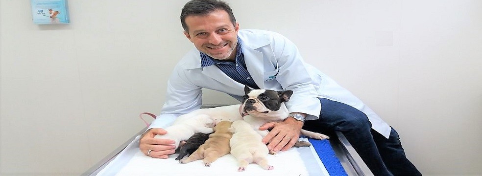 médico veterinário especialista em reprodução veterinária